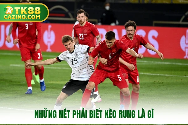 Kèo rung là gì? Đặc điểm cơ bản của kèo trong thể thao TK88 2 Những nét phải biết kèo rung là gì